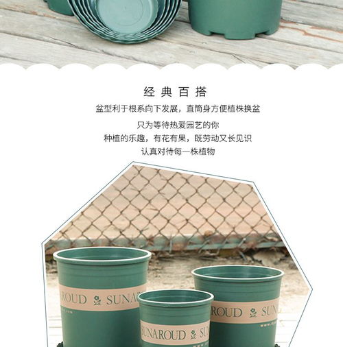 塑料花盆的绿色突围 从原料检测到消费偏好